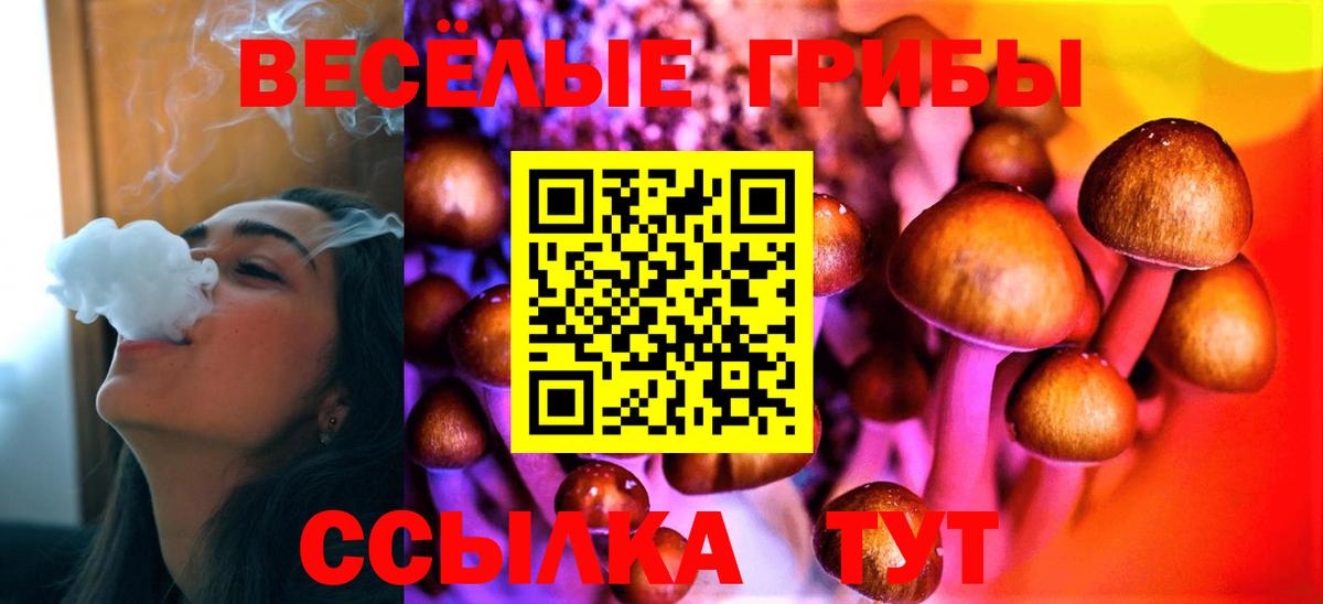 Псилоцибиновые грибы мицелий  Галлюциногенные грибы мухоморы  Чернушка  Вход с VPN 